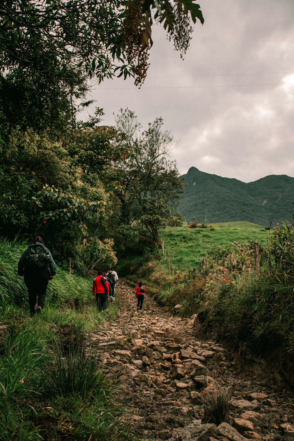 A group of hikers climbs a rocky trail through green mountains.